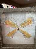 Butterfly Brown Shadow Box