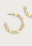 Bamboo Medium Hoop Earrings | Gold