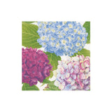 Hydrangea Garden | Blue