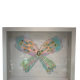 Butterfly White Shadow Box