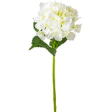 Hydrangea Stem | 27.5"