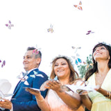 Flying Magic Butterfly® - Rainbow - Assorted Colors