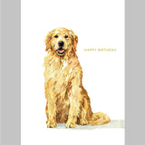 HB Birthday Dog