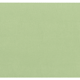 Placemat Lizard Rectangle Set of 4