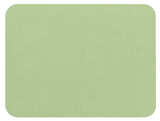 Placemat Lizard Rectangle Set of 4