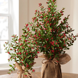 16" Red Berry Tree in Burlap Bag