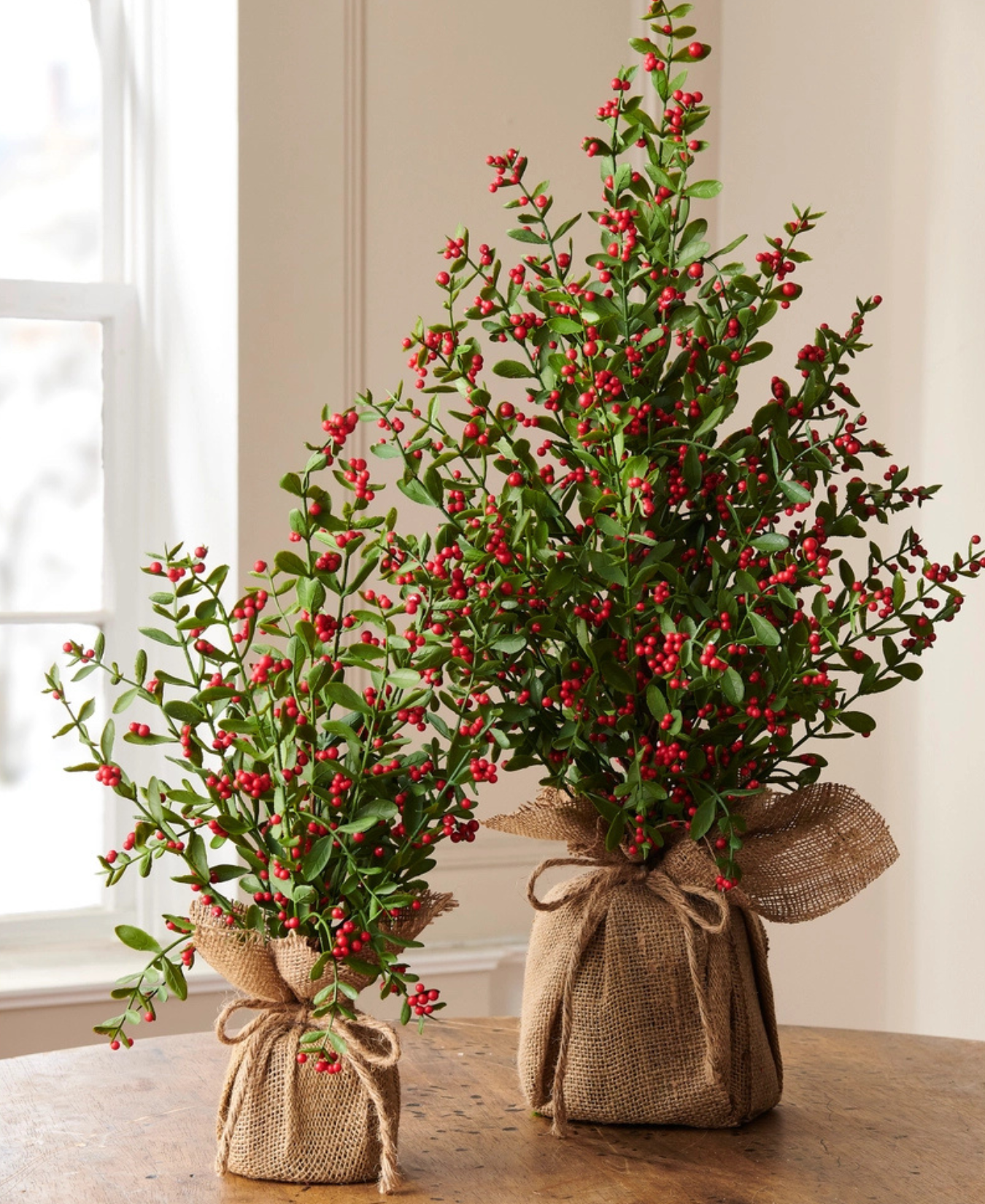 two plants in burlap wrapped pots