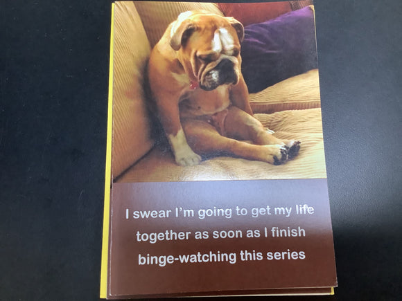 Binge-Watching