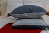 American Prosperity Pillow: Lux America250™ charm & retired US currency inside