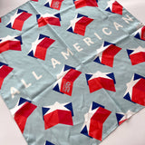 America250🇺🇸 Silk Scarf