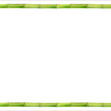 Bamboo Border Green notecards
