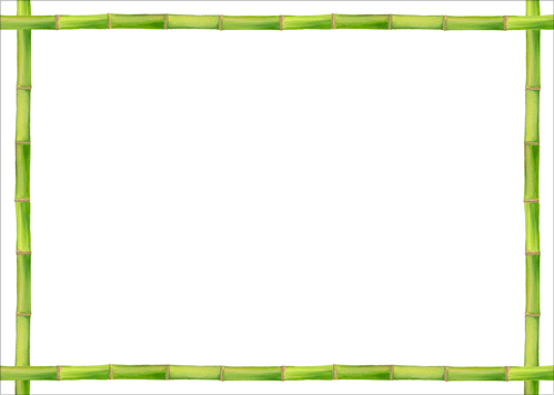 Bamboo Border Green notecards