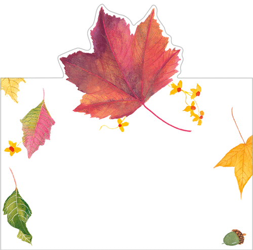 a close up of leaves