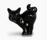 A419 Scaredy Cat