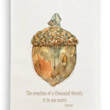 Acorn Dishtowel D1025