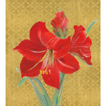 Amaryllis Illuminated Petite Boxed Christmas Cards - Includes 15 Cards & Envelopes_Caspari_106004-RED