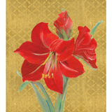 Amaryllis Illuminated Petite Boxed Christmas Cards - Includes 15 Cards & Envelopes_Caspari_106004-RED