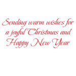 Amaryllis Illuminated Petite Boxed Christmas Cards - Includes 15 Cards & Envelopes_Caspari_106004-RED