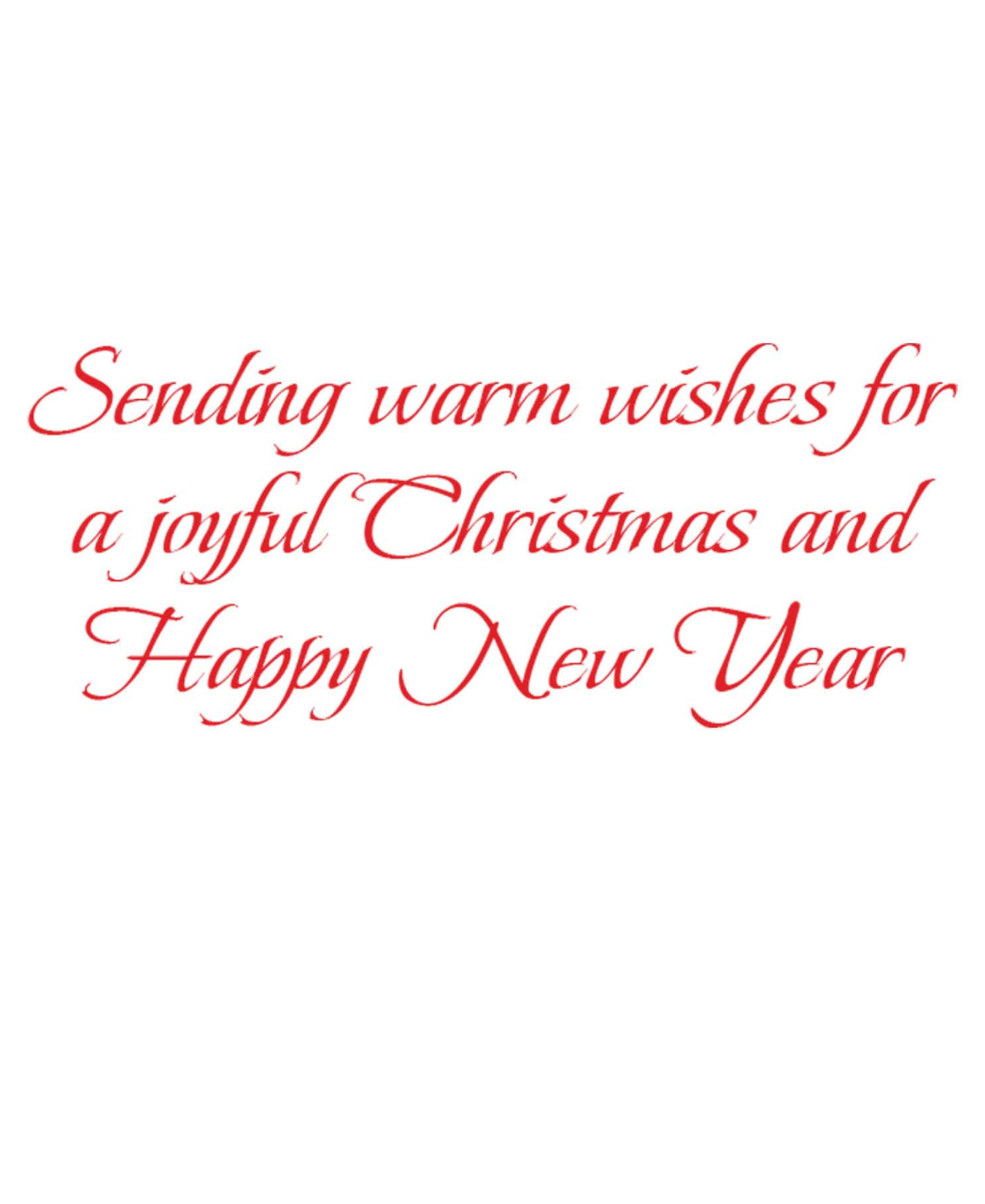Amaryllis Illuminated Petite Boxed Christmas Cards - Includes 15 Cards & Envelopes_Caspari_106004-RED