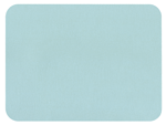 Placemat Lizard Rectangle Set of 4