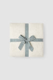 CozyChic Cova Center Stripe Throw | Beach Glass Multi