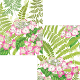 Fern Garden Note Cards