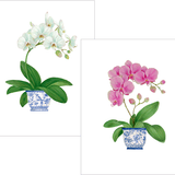 Potted Orchids Note Cards