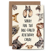 Sorry for the Dog Eared Birthday Card