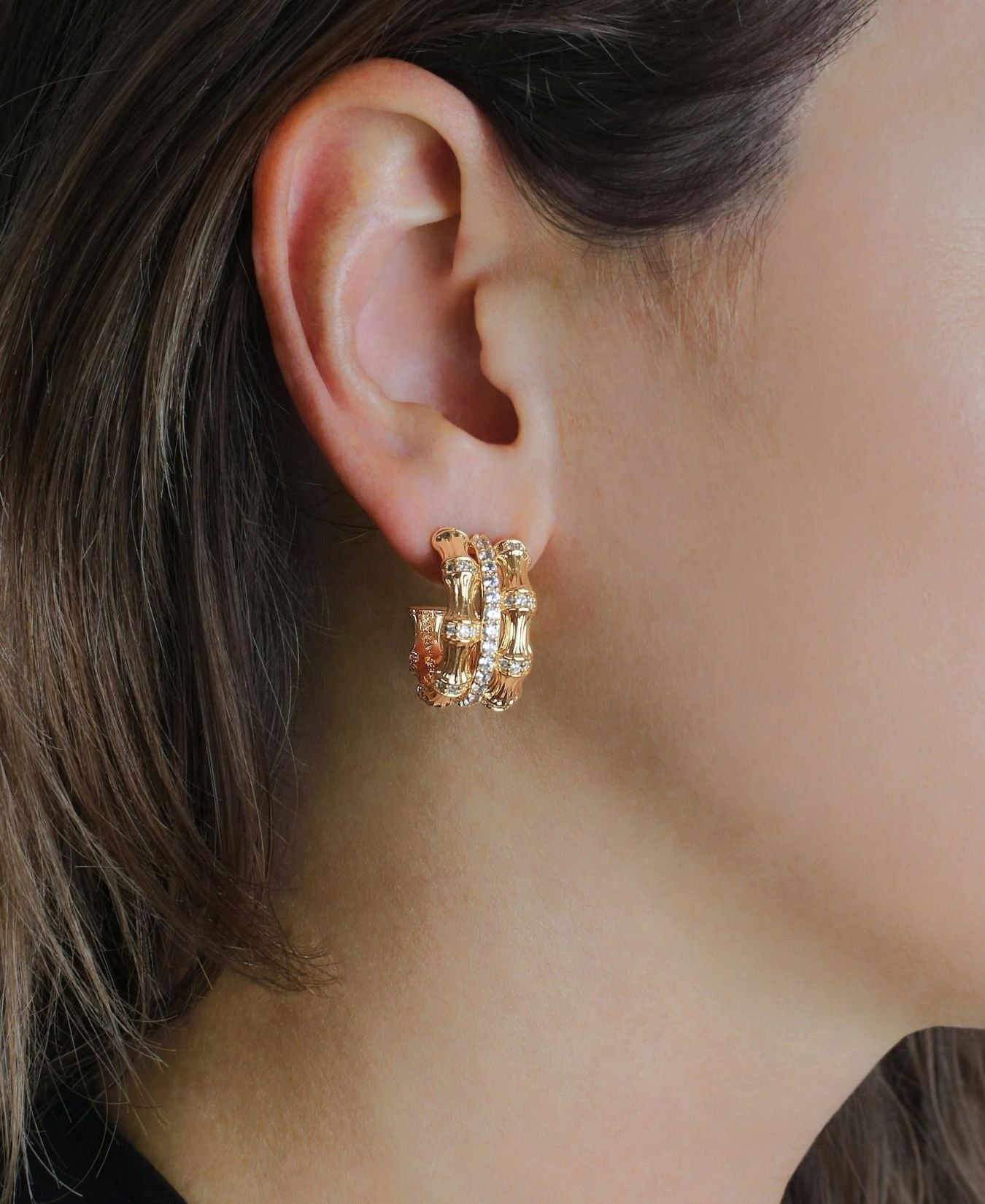 Bamboo Stacked Hoop Earrings-AnabelAram-14011117324