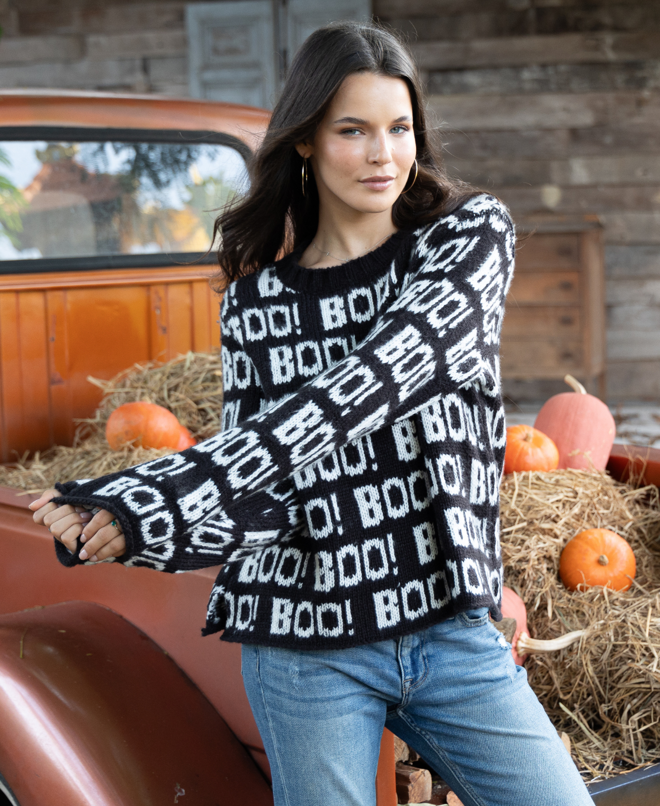 Boo Embroidered Crew Chunky Sweater_Wooden Ships_K57CPE3W693