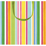 Cabana Stripe Bright Gift Bag Large