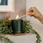 Candle-Winter-Fir-L'AVANT-COLLECTIVE-CAN-002-WF-4
