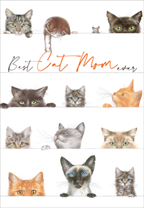 Best Cat Mom Mothers Day