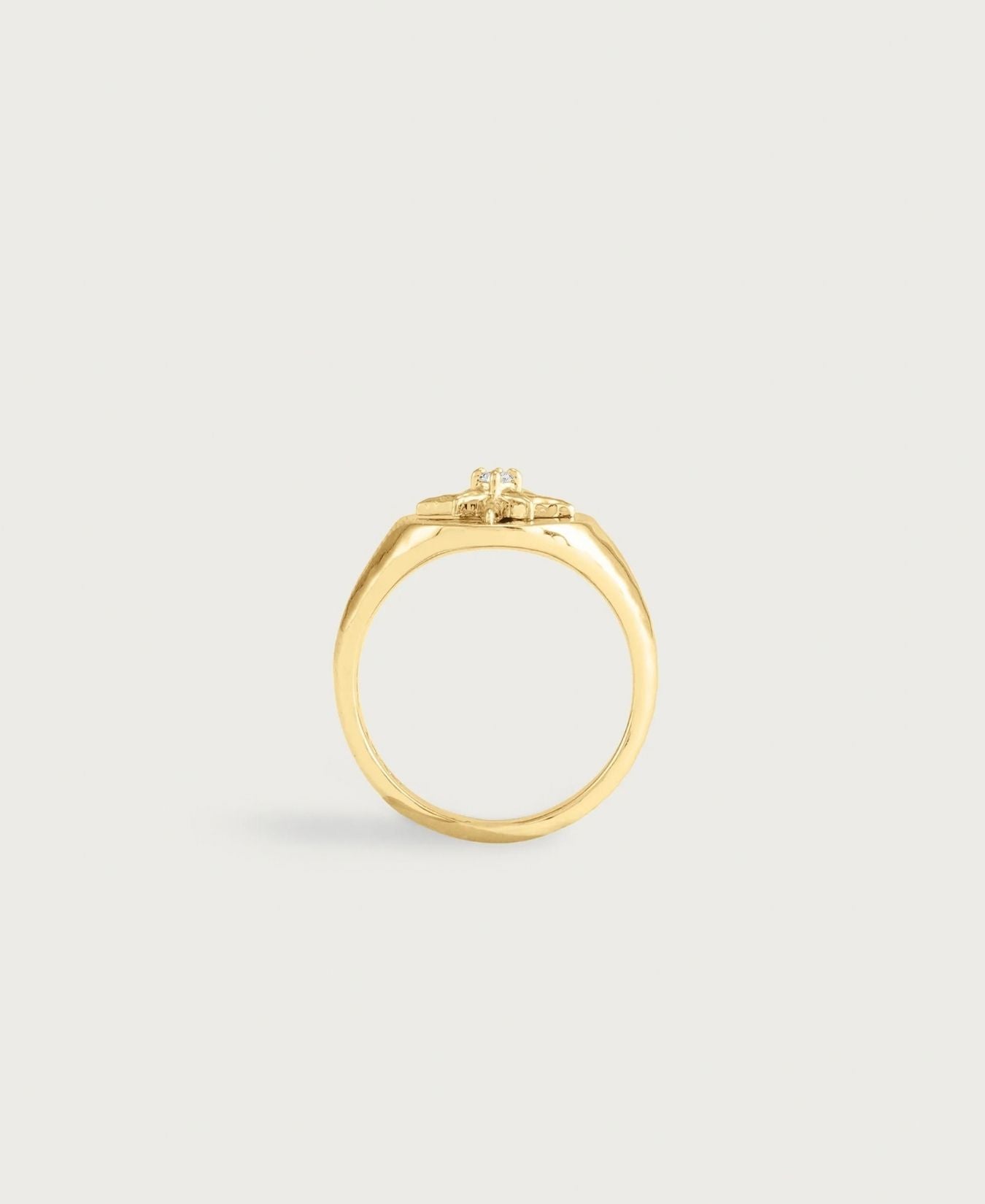 Celeste Signet Ring-AnabelAram-11261145126