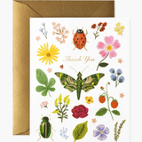 Curio Thank You Card