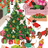 Pets unwrapping Gifts Boxed Christmas Cards