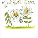 Get Well Card Daisies