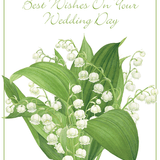 Wedding Card Lily of The Valley
