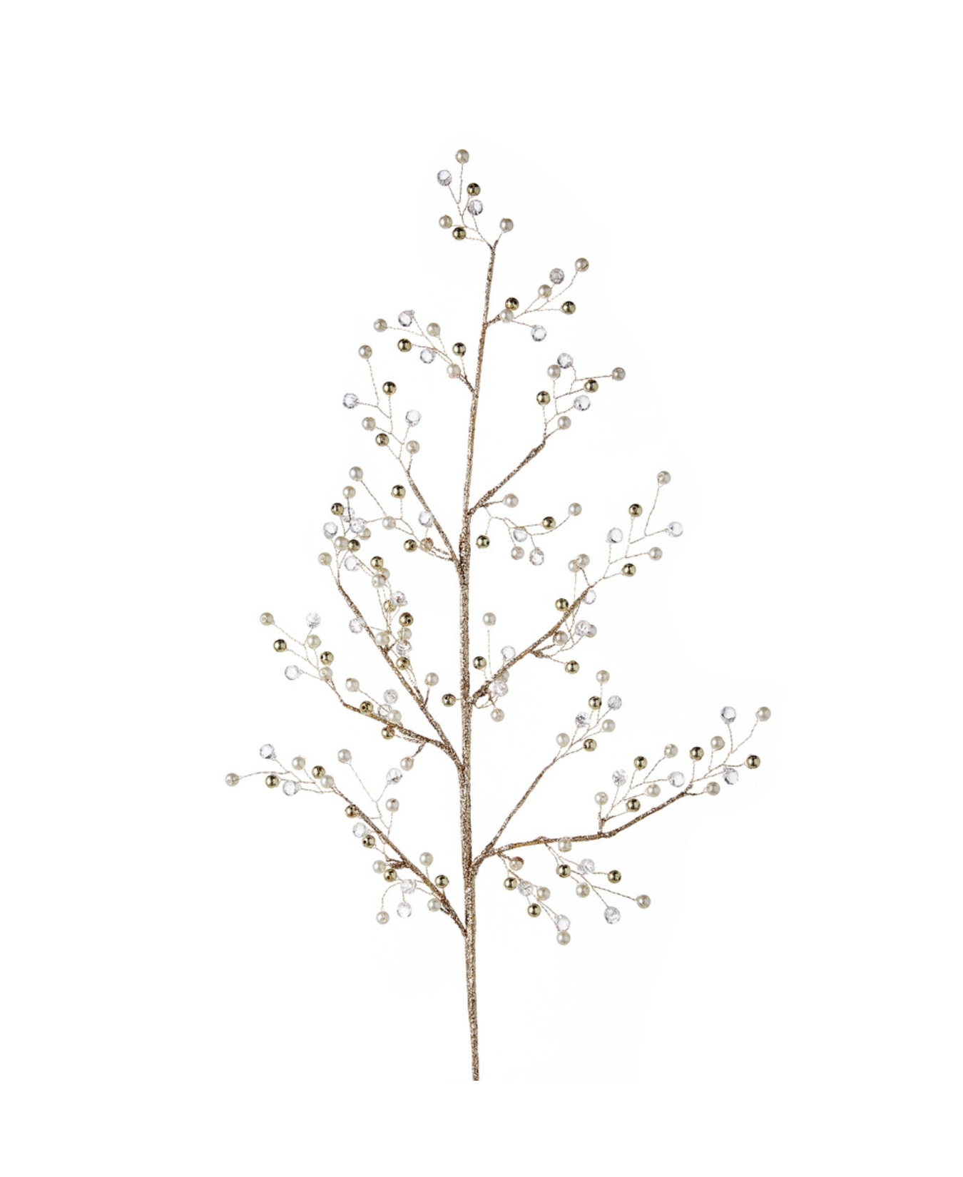 a close up of a branch