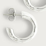 FarrierHuggieHoopEarrings-anabelAram-14112113724