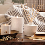 Frasier Fir Medium Ceramic Gilded Candle_Thymes Frasier Fir_TH03535242610