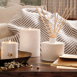 Frasier Fir Medium Ceramic Gilded Candle_Thymes Frasier Fir_TH03535242610