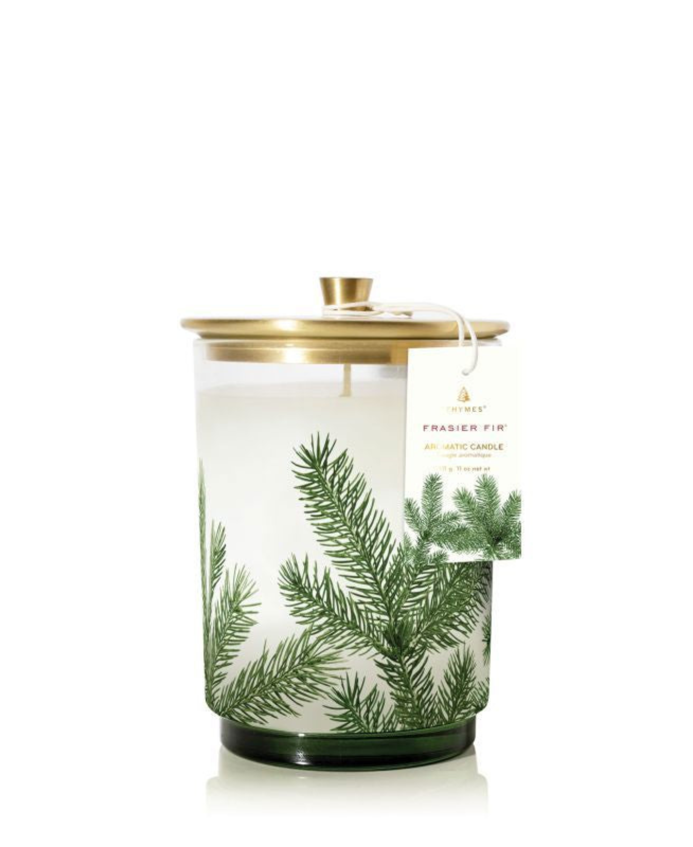 Frasier Fir Medium Pine Needle Luminary_Thymes Frasier Fir_TH03505242600