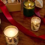 Frasier Fir Votive Candle  Pine Needle Design_Thymes Frasier Fir_TH03505240020