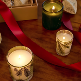 Frasier Fir Votive Candle  Pine Needle Design_Thymes Frasier Fir_TH03505240020