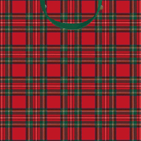 a red and green plaid bag