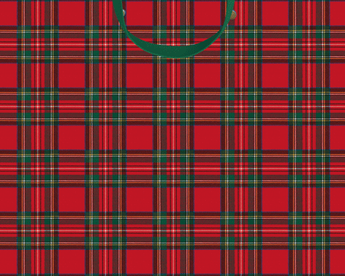 a red and green plaid bag