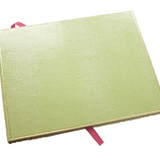 Green Lizard Guest Book