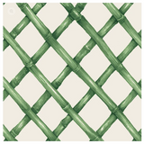 CN Green Lattice