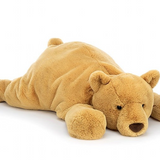 Harvey Bear